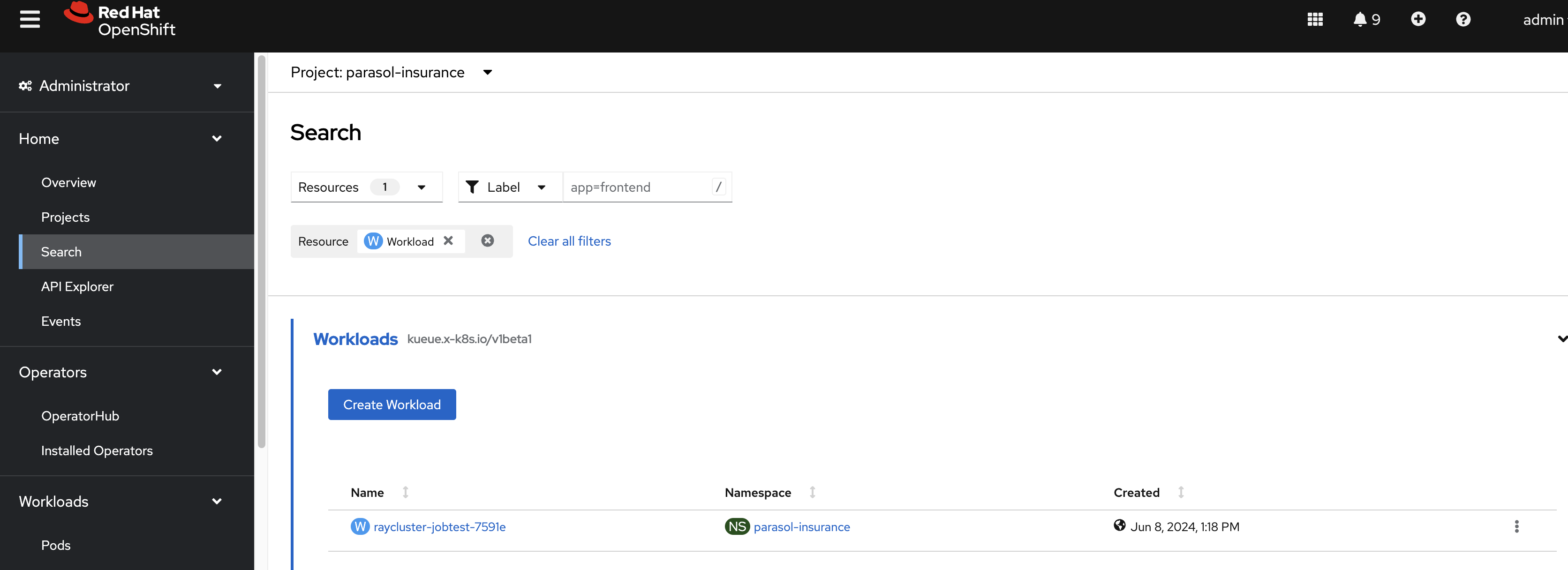 Ray cluster workload