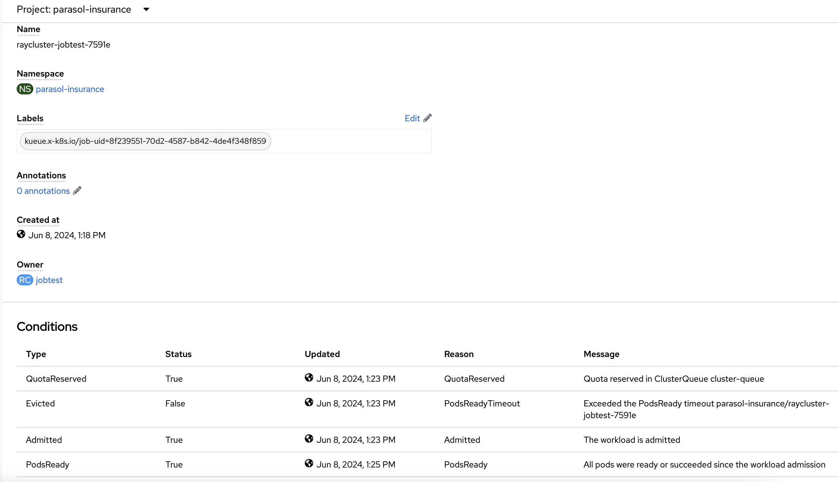 Ray cluster workload conditions