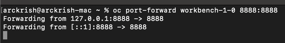 terminal portforward